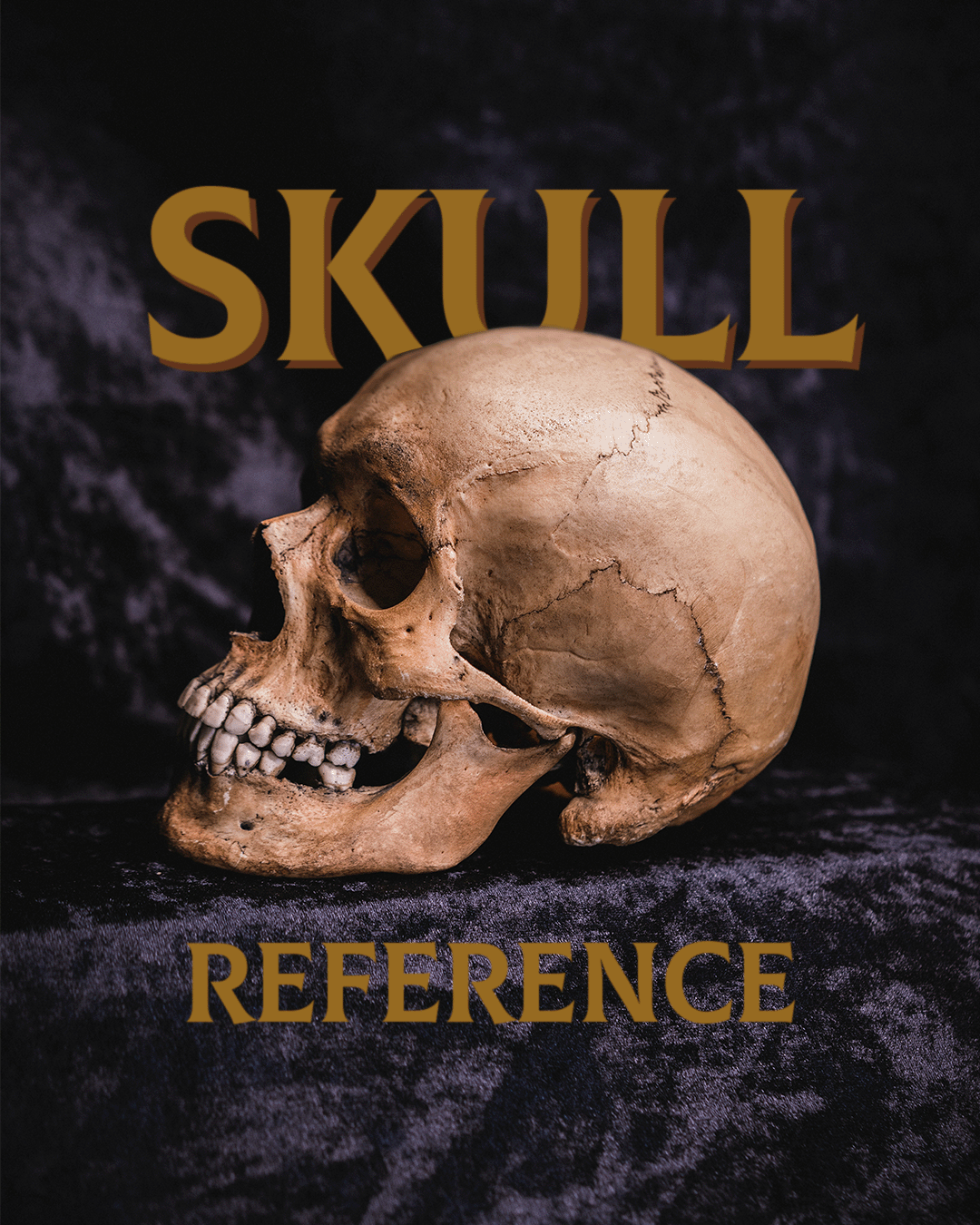 Skull Reference pack